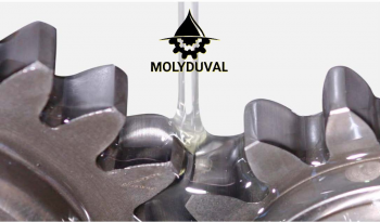 Mỡ Bôi Trơn Đạt Chuẩn Thực Phẩm MOLYDUVAL  Prometheus A 00 LP